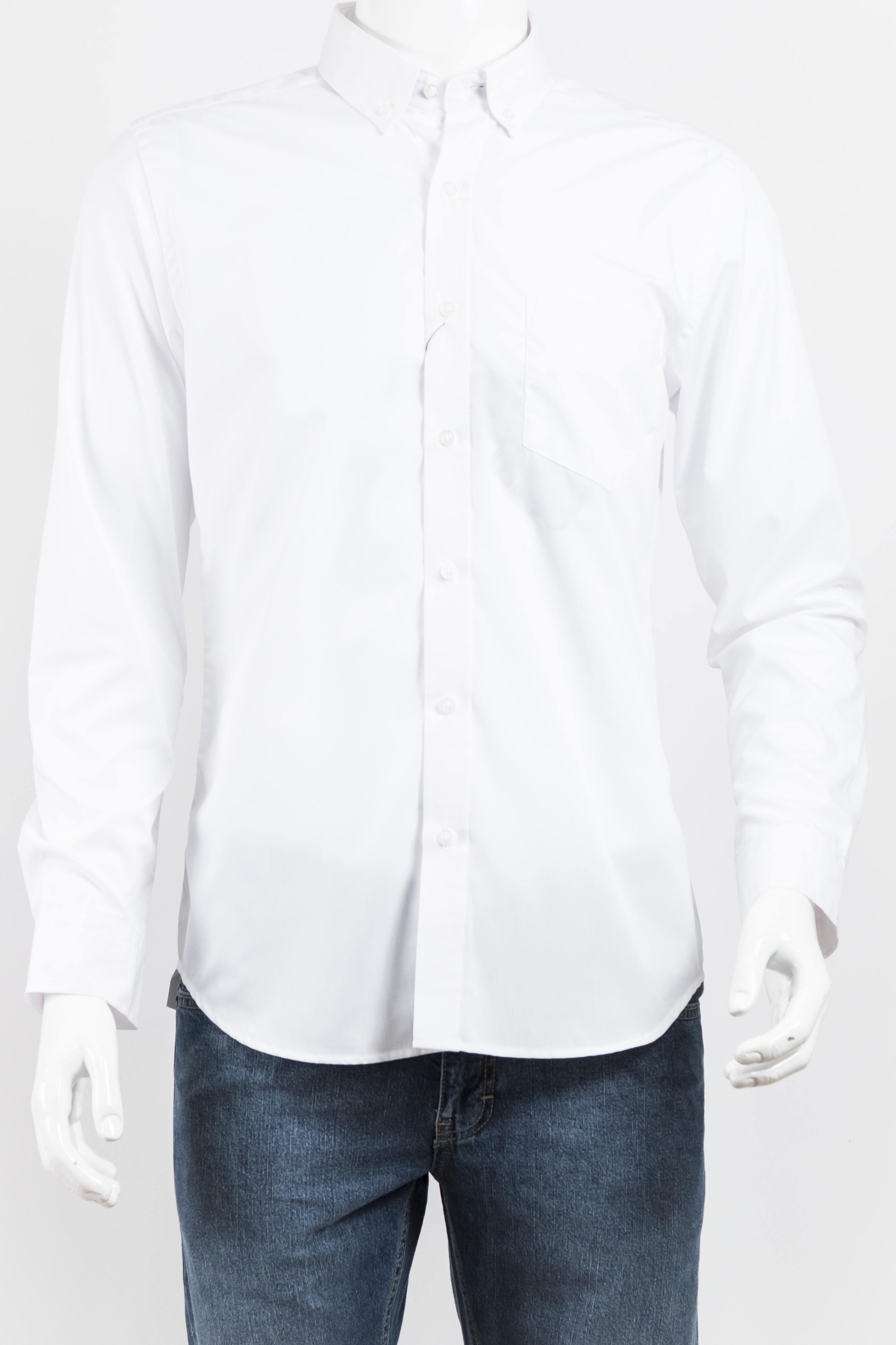 ModeloB501