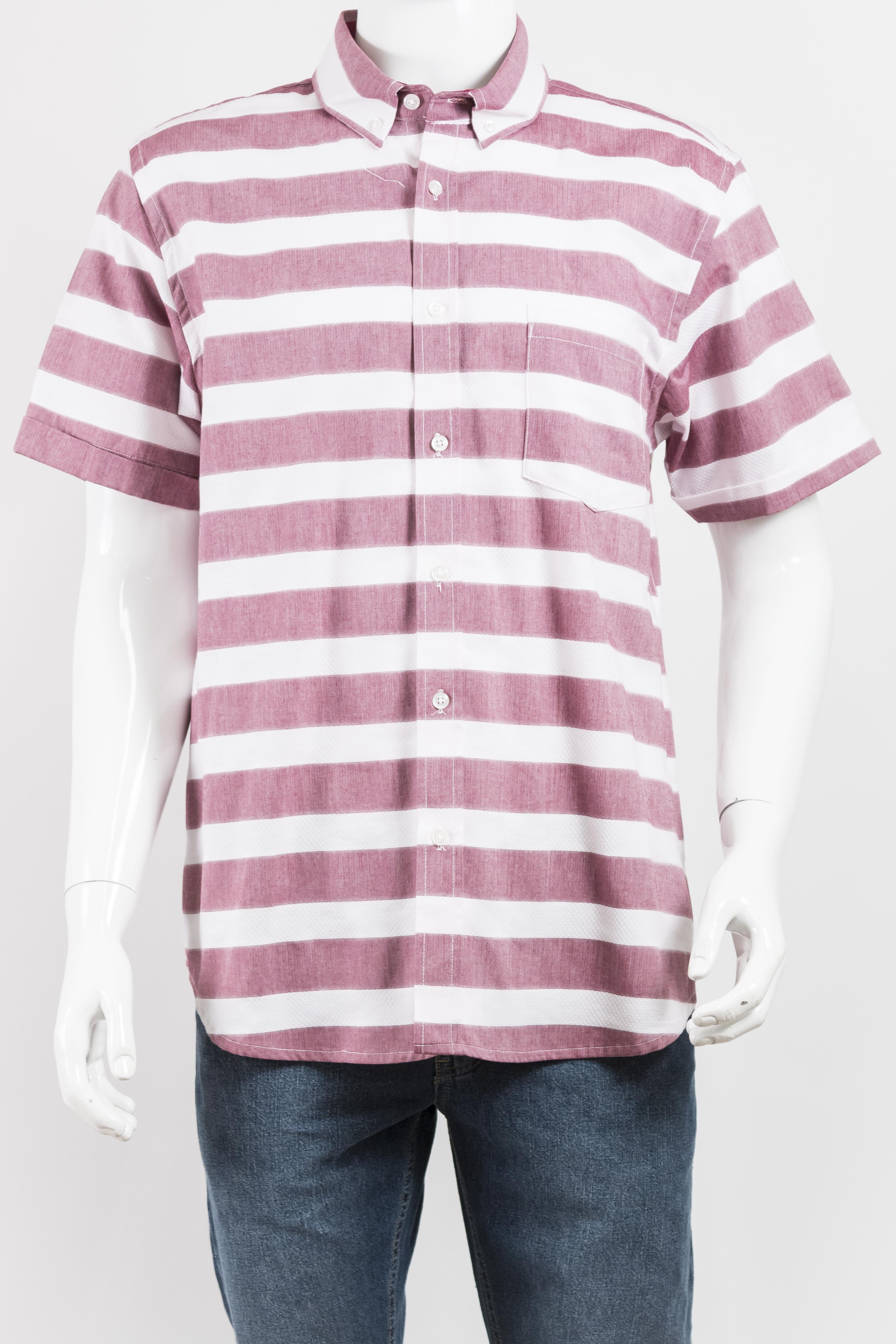 ModeloB564